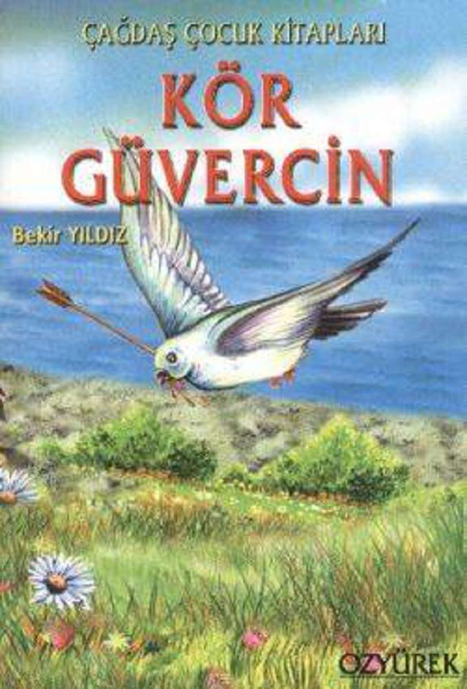 Ürün Resmi