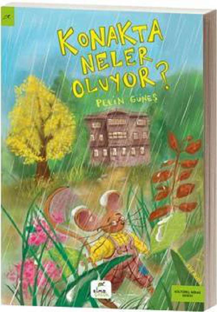 Ürün Resmi