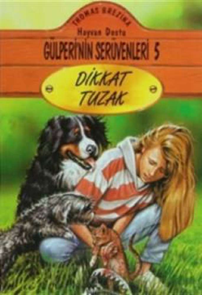 Ürün Resmi