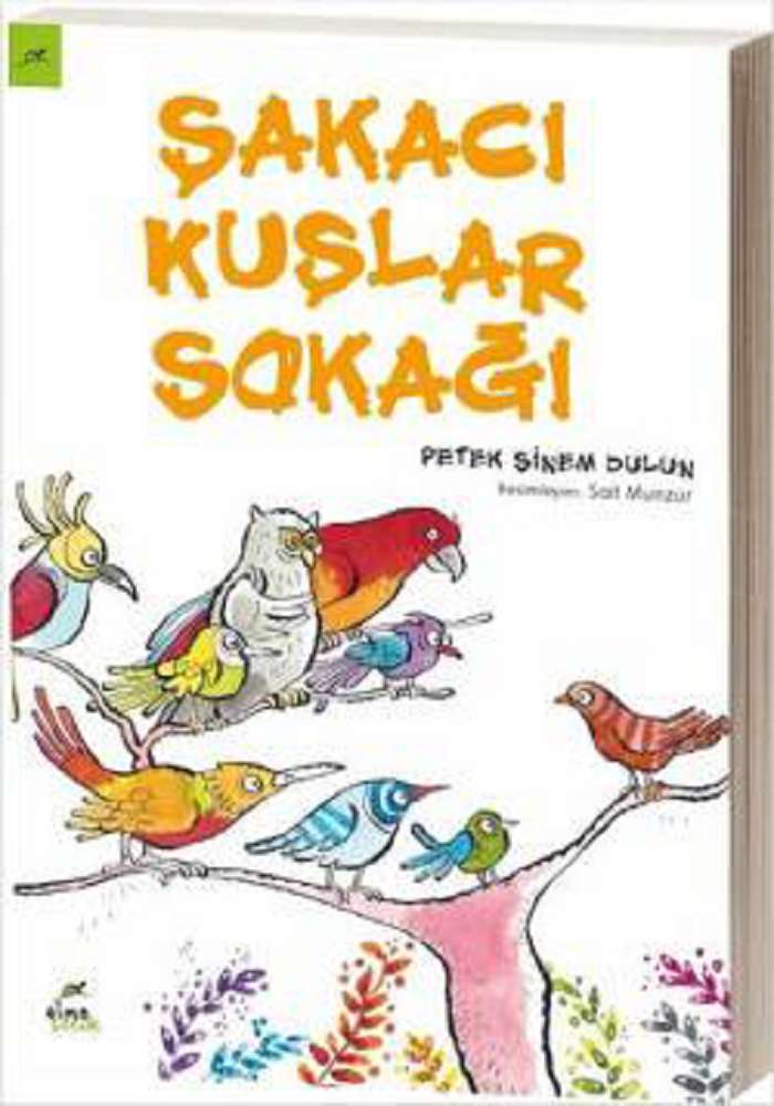 Ürün Resmi