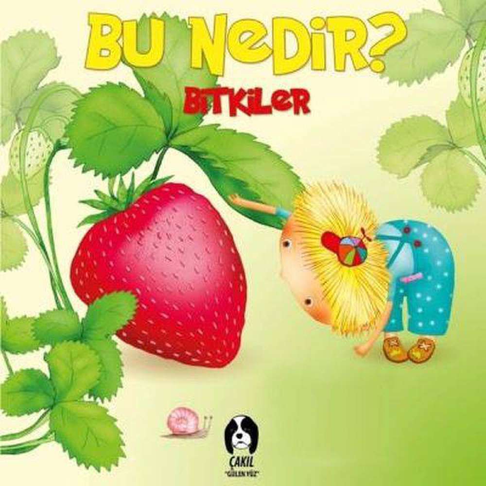 Ürün Resmi
