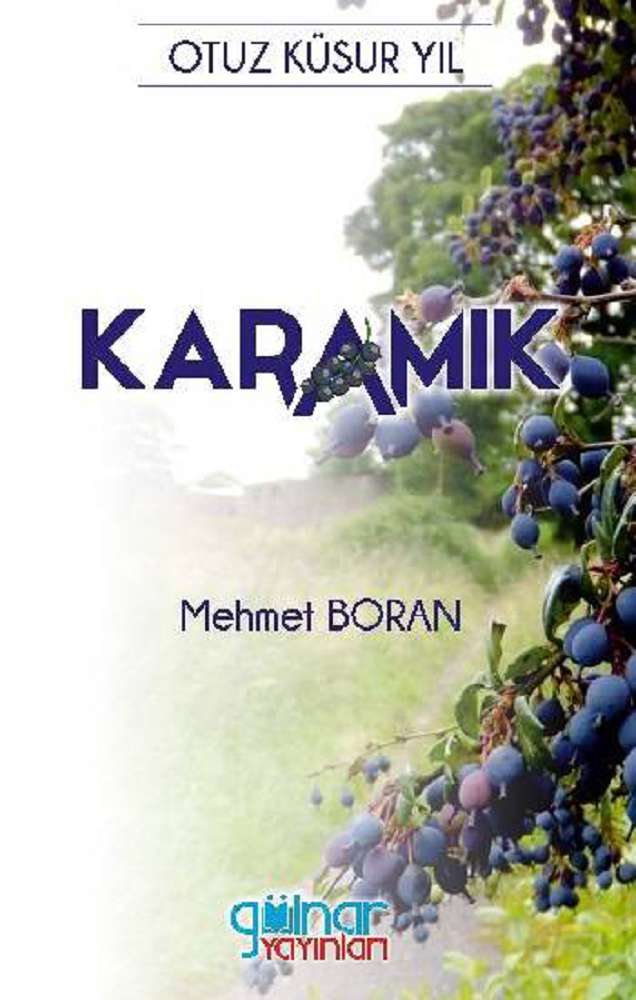 Ürün Resmi