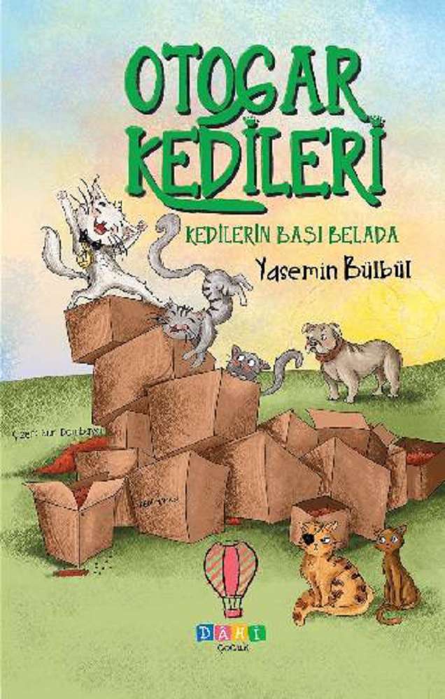 Ürün Resmi