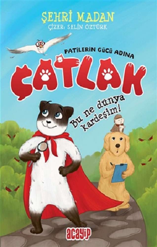 Ürün Resmi