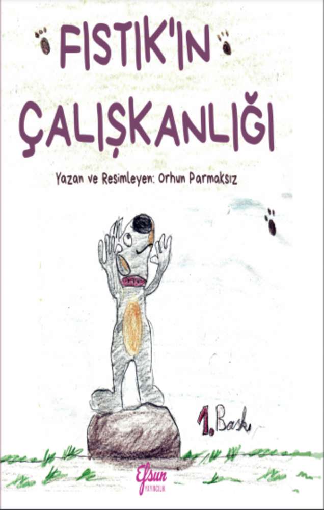 Ürün Resmi