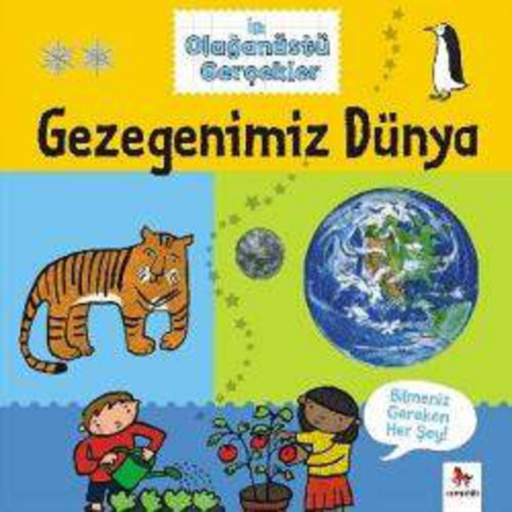 Ürün Resmi
