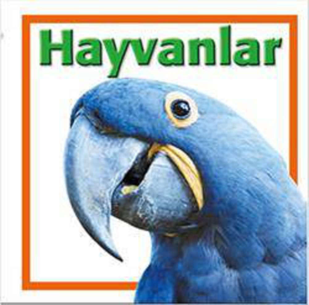 Ürün Resmi