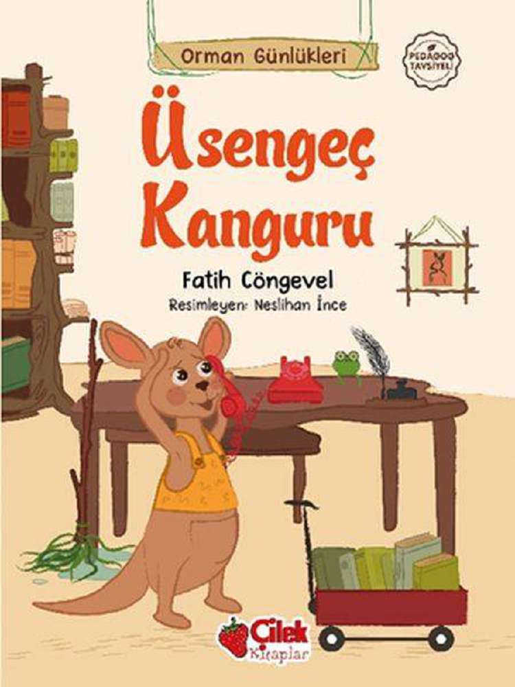 Ürün Resmi