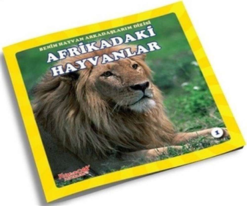Ürün Resmi