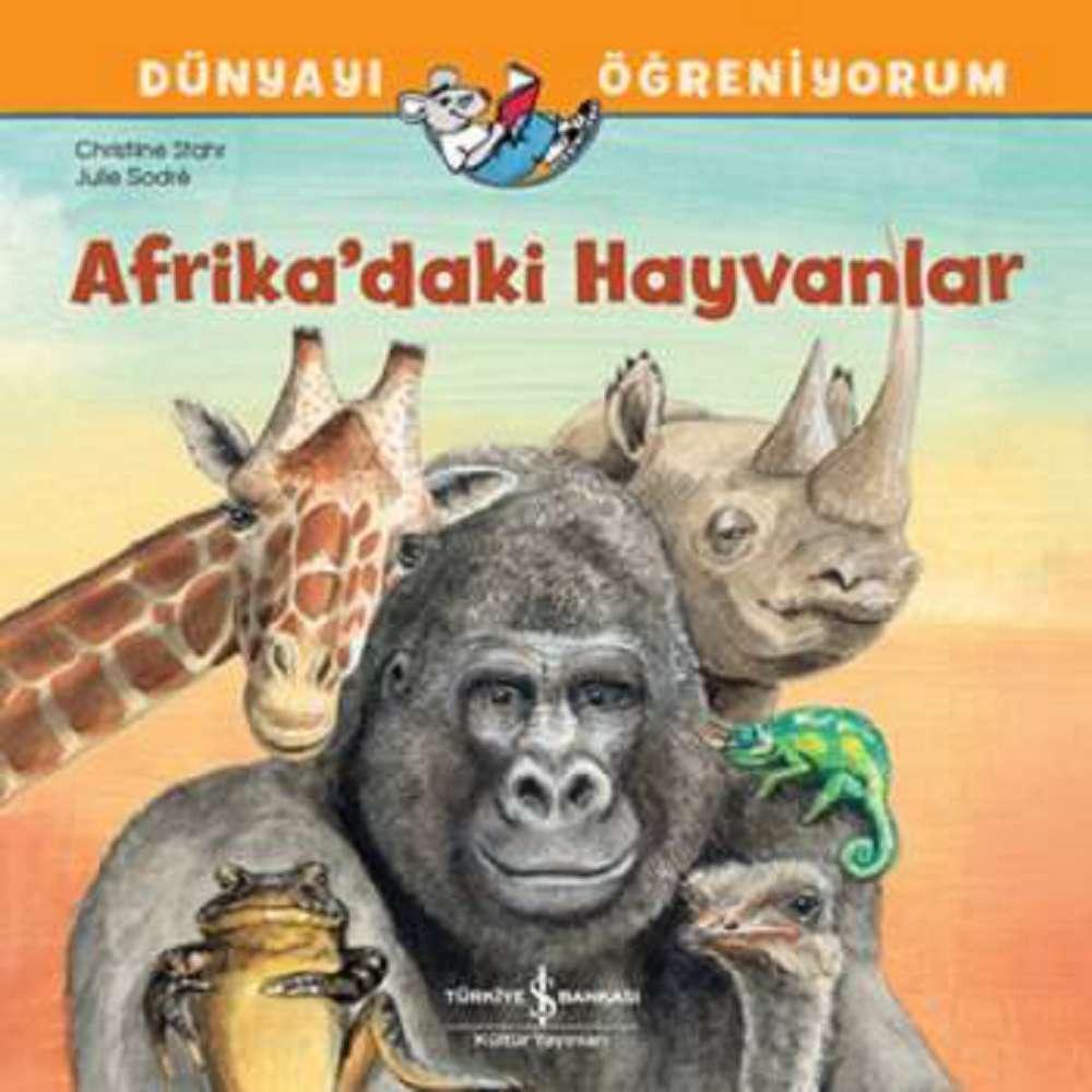 Ürün Resmi