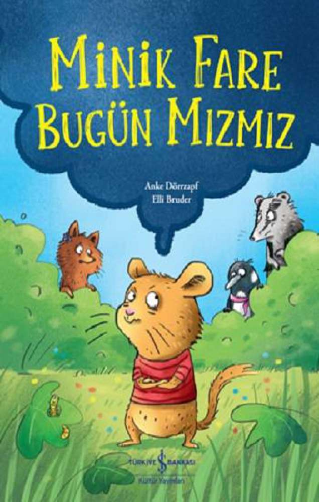 Ürün Resmi