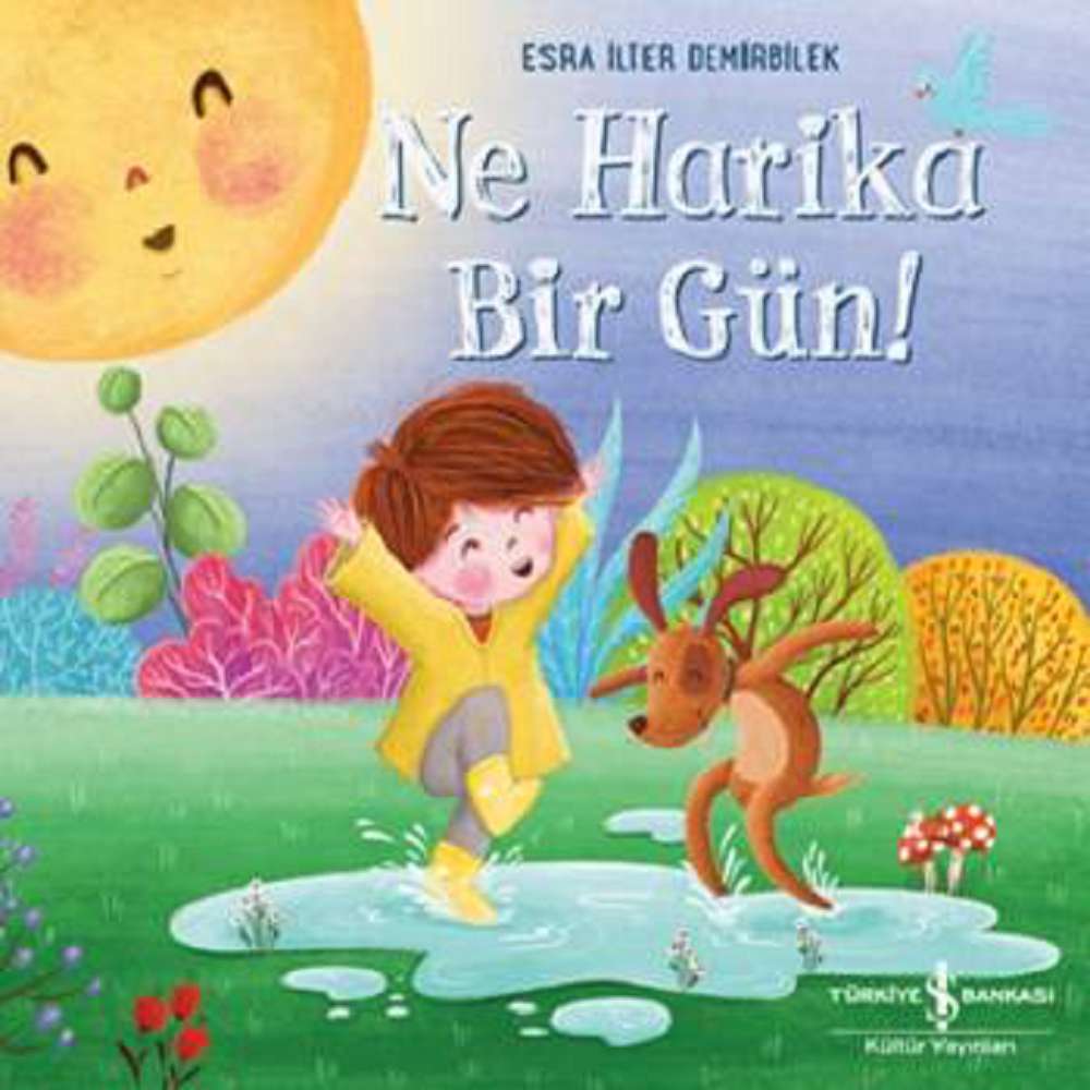 Ürün Resmi