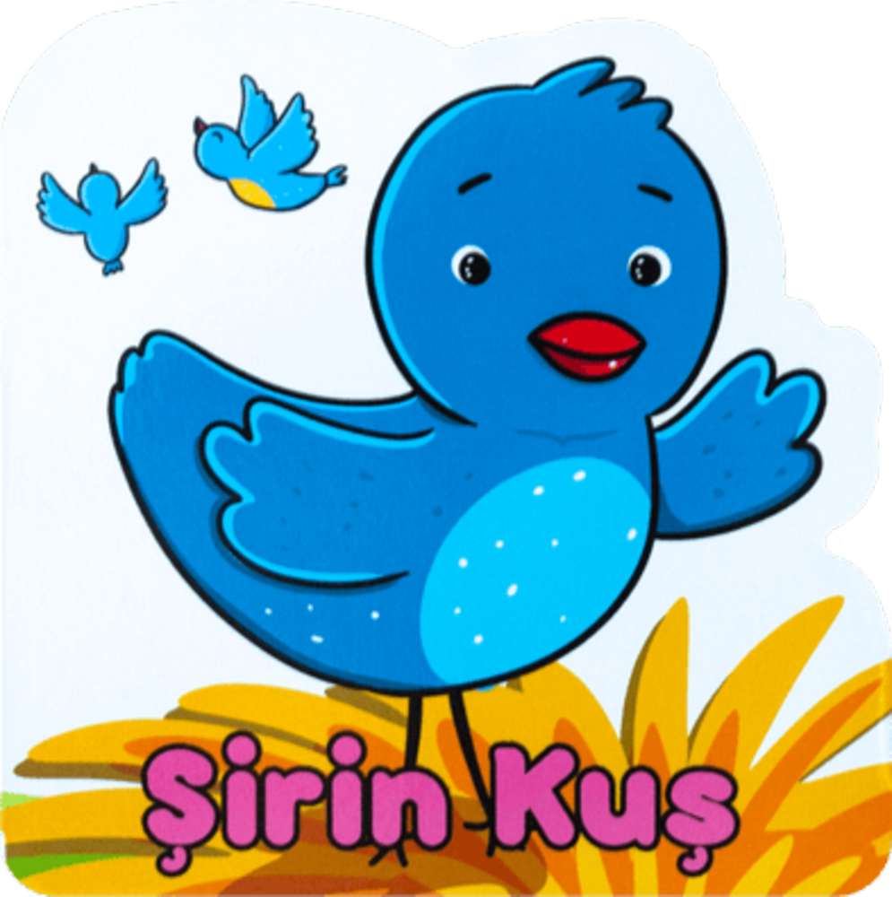Ürün Resmi