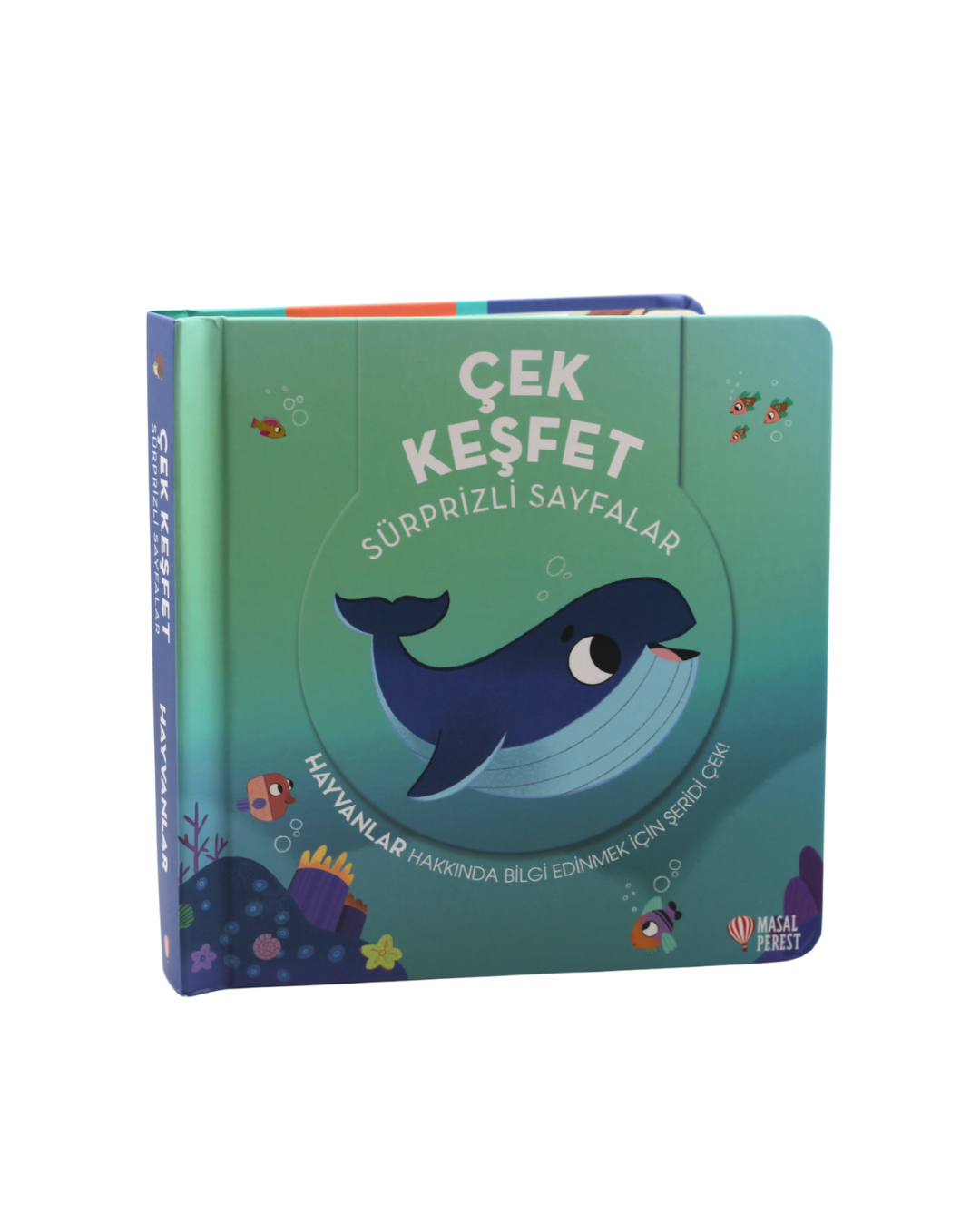 Ürün Resmi