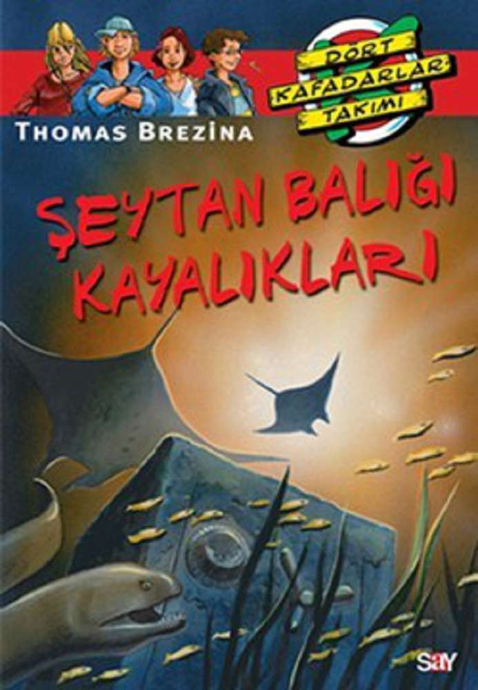 Ürün Resmi