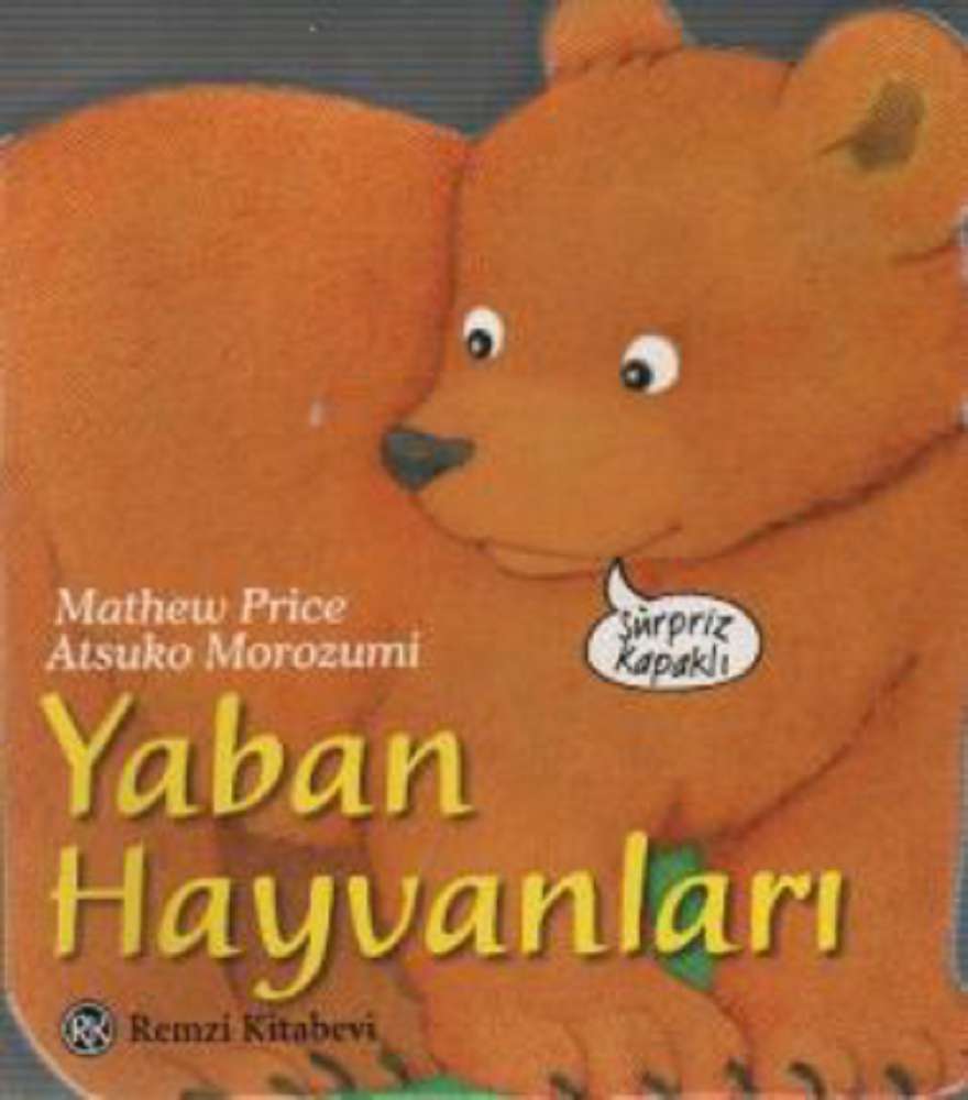 Ürün Resmi